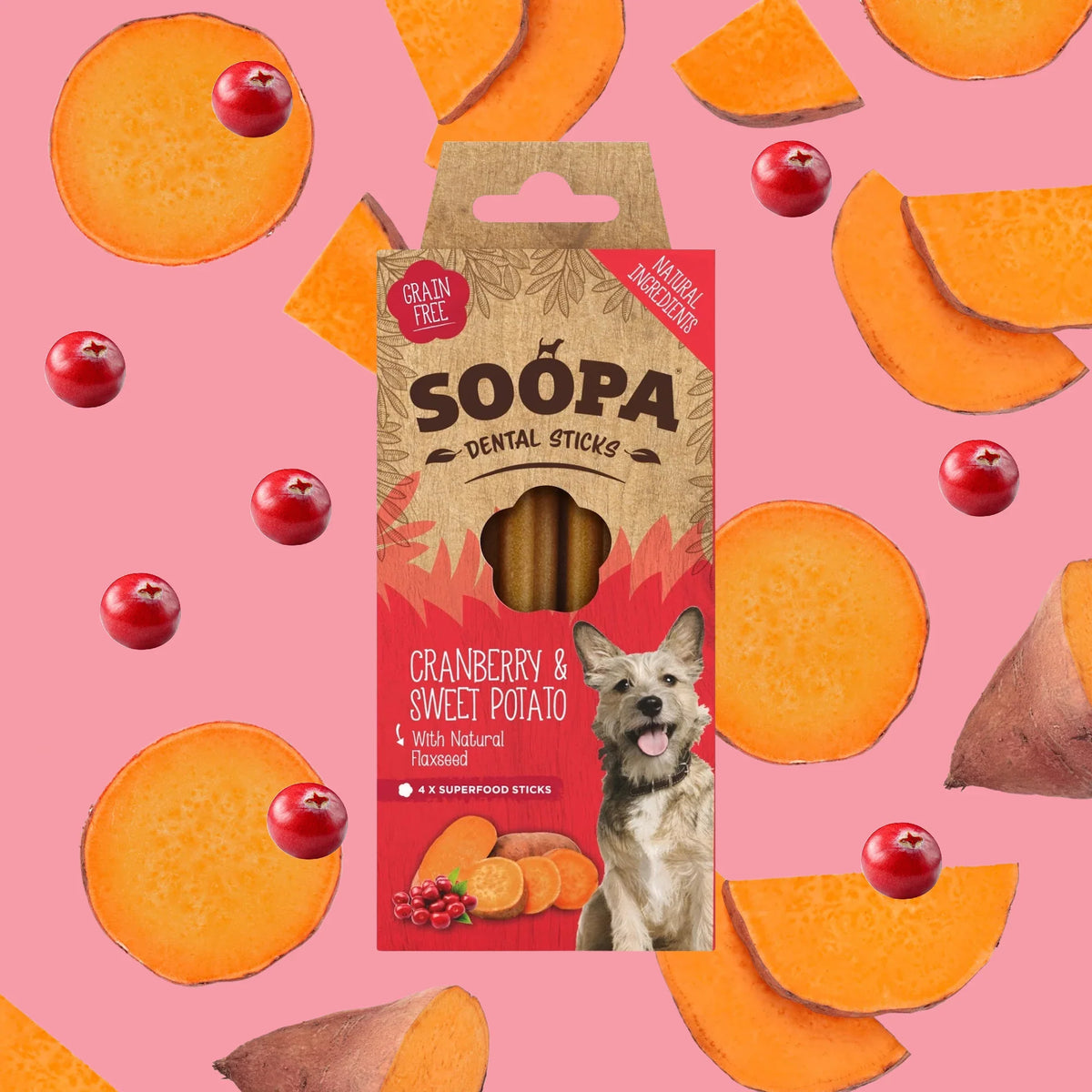 Soopa Dental Sticks
