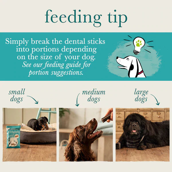 Forthglade Dental Sticks